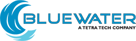 BlueWater Federal Solutions Inc. jobs